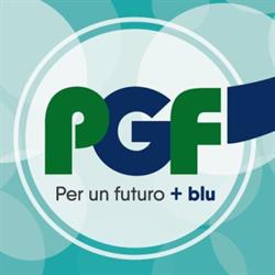 Pgf di Grasso F.lli