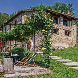 Fattoria di Pietrabuona