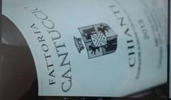 Fattoria Il Cantuccio
