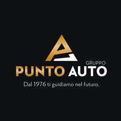 Gruppo Punto Auto, concessionaria Peugeot Opel e Citroen