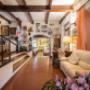 Gallery Professionale