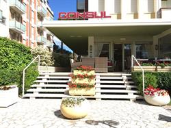 Hotel Consul