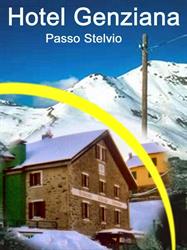 Stelvio