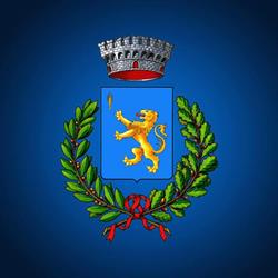 Comune Di Martellago