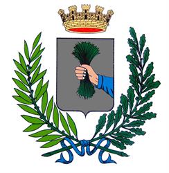 Comune Di Manerbio