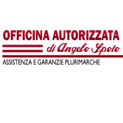 Spoto  Angelo