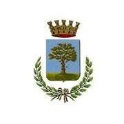 Comune Di Bovolone