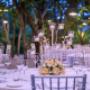 The Citrus Garden
