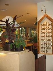 Hotel Albergo Azzurra