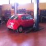 Gallery Cliente