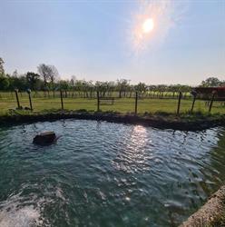 azienda agricola cà del lupo