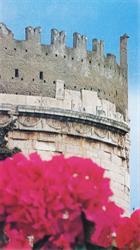 Società Cooperativa Florovivaistica Del Lazio