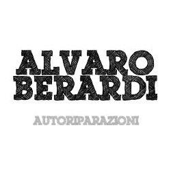 Berardi Autoriparazioni