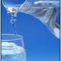 Everpure Filtri Acqua Da Bere