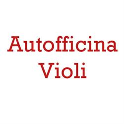 Nuova Autofficina Violi di Centolanza Michele