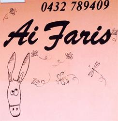 Ai Faris