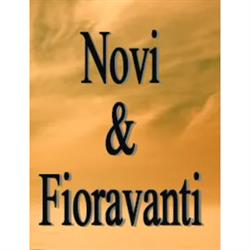 Autofficina Novi Fioravanti  - Specializzata Nissan e Autofficina Multimarche