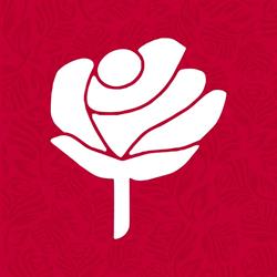 Di Rosa