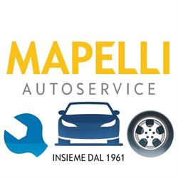 Mapelli Autoservice SAS