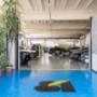 Gallery Professionale