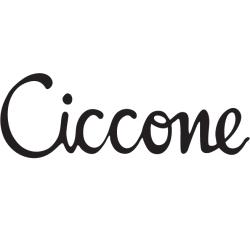 Ciccone car