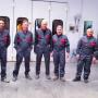Gallery Cliente