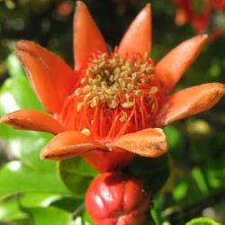 La Torretta