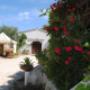 Ingresso Cantine Cimaglia - Vieste