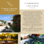 Brochure &amp; Catalogo Cantine Cimaglia | Vini e Olii del Gargano Vieste