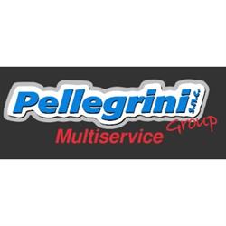 Pellegrini Group Multiservice Auto