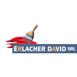 Erlacher David