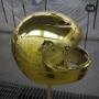 Casco D'Oro