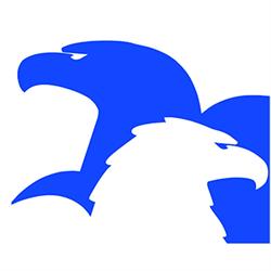 Eagles Engineering SRL