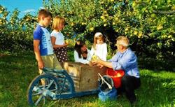 Agritur Leita