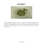 Ricetta agriturismo
