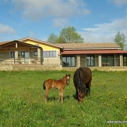 agriturismo l.b.STUD