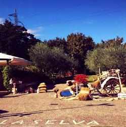 Agriturismo La Selva