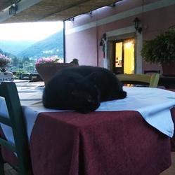 Agriturismo Locanda Del Papa