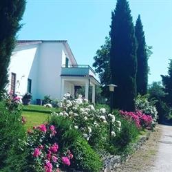 Agriturismo Santa Maria Sul Lago Di Bolsena