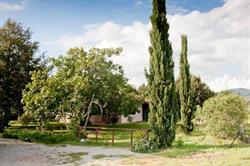 Agriturismo Sicomoro Nella Maremma Toscana