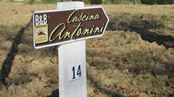 B&b Cascina Antonini