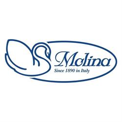 A. Molina Piumini & C. Spa