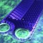 CND