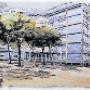 Azienda