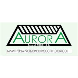 Aurora Serre