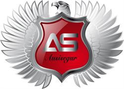 Ausisegur