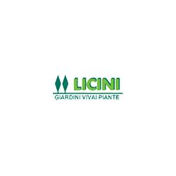 Licini Vivai