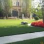 Giardini