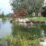 Biopiscine