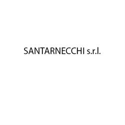 Santarnecchi